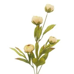 Tan Peony Stem By Ashland® -Michaels 10679183 2
