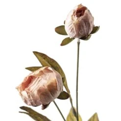 Tan Peony Stem By Ashland® -Michaels 10679183 20