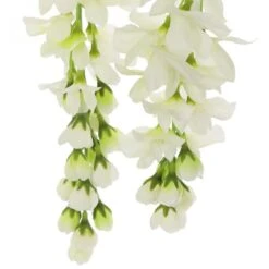 Cream Wisteria Stem By Ashland® -Michaels 10679185 3