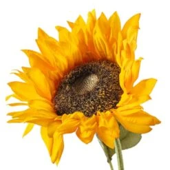 Gold Sunflower Stem By Ashland® -Michaels 10679186 20