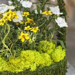 SuperMoss® Preserved Reindeer Moss, 8oz. -Michaels 10701986 3