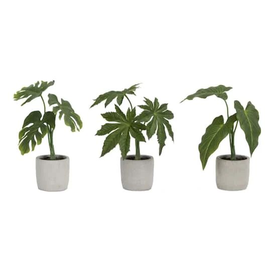 Melrose Green Potted Foliage Set, 10", 10.5" & 11.5" 4 Melrose Green Potted Foliage Set, 10", 10.5" & 11.5" - Image 2