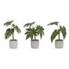 Melrose Green Potted Foliage Set, 10", 10.5" & 11.5" -Michaels D237601S 1