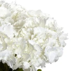 23" White Large Hydrangea Silk Flower Arrangement In Vase -Michaels D251398S 12