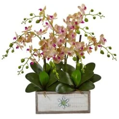 23" Cream & Pink Moth Orchid Arrangement In Decorative Wood Planter -Michaels D251412S 11 1