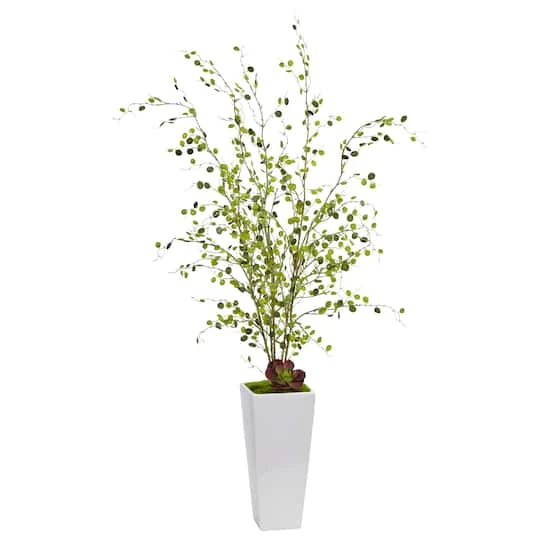 4ft. Night Willow In White Planter 3 4ft. Night Willow In White Planter