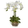 22" White Triple Orchid In Glass Vase -Michaels D251464S 11