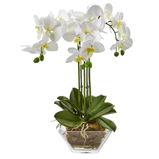 22" White Triple Orchid In Glass Vase 3 22" White Triple Orchid In Glass Vase