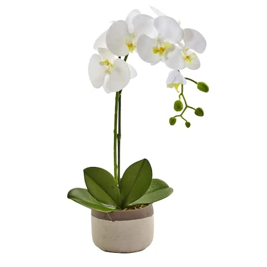 19" White Orchid In Ceramic Pot 4 19" White Orchid In Ceramic Pot - Image 2