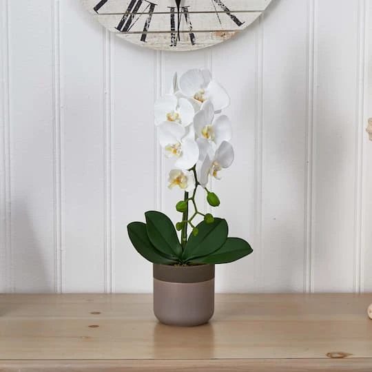 19" White Orchid In Ceramic Pot 8 19" White Orchid In Ceramic Pot - Image 6