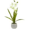 22" White Cymbidium Orchid Arrangement In Cement Pot 1 22" White Cymbidium Orchid Arrangement In Cement Pot -Michaels D251468S 1