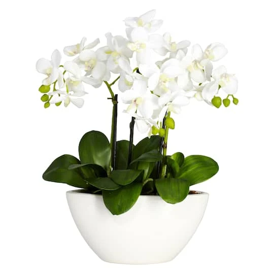 15" Phalaenopsis Arrangement In White Bowl Vase 4 15" Phalaenopsis Arrangement In White Bowl Vase - Image 2