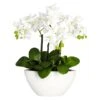 15" Phalaenopsis Arrangement In White Bowl Vase -Michaels D251483S 1