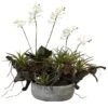 20" Orchid & Succulent Garden In Decorative Pot 1 20" Orchid & Succulent Garden In Decorative Pot -Michaels D251492S 11