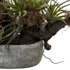 20" Orchid & Succulent Garden In Decorative Pot -Michaels D251492S 13