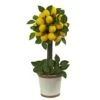 18" Potted Lemon Ball Topiary Arrangement -Michaels D251493S 11