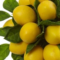 18" Potted Lemon Ball Topiary Arrangement -Michaels D251493S 12