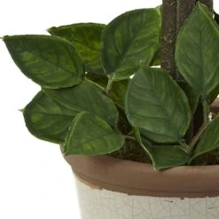 18" Potted Lemon Ball Topiary Arrangement -Michaels D251493S 13