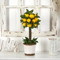 18" Potted Lemon Ball Topiary Arrangement -Michaels D251493S 14