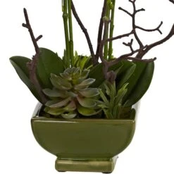 21" Orchid & Succulent Floral Arrangement In Ceramic Pot 9 21" Orchid & Succulent Floral Arrangement In Ceramic Pot -Michaels D251497S 13