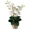 25" Cream Double Phalaenopsis Silk Orchid Flower Arrangement In Ceramic Pot -Michaels D251506S 11