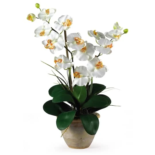 25" Cream Double Phalaenopsis Silk Orchid Flower Arrangement In Ceramic Pot 3 25" Cream Double Phalaenopsis Silk Orchid Flower Arrangement In Ceramic Pot