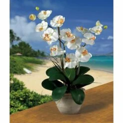 25" Cream Double Phalaenopsis Silk Orchid Flower Arrangement In Ceramic Pot 9 25" Cream Double Phalaenopsis Silk Orchid Flower Arrangement In Ceramic Pot -Michaels D251506S 12