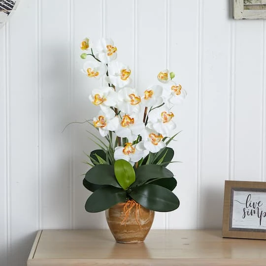 25" Cream Double Phalaenopsis Silk Orchid Flower Arrangement In Ceramic Pot 6 25" Cream Double Phalaenopsis Silk Orchid Flower Arrangement In Ceramic Pot - Image 4