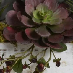 21" Beauty Orchid & Succulent Garden With Whitewashed Planter -Michaels D251544S 13