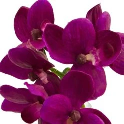 9" Orchid Arrangement In Glass Vase Set 11 9" Orchid Arrangement In Glass Vase Set -Michaels D251603S 12