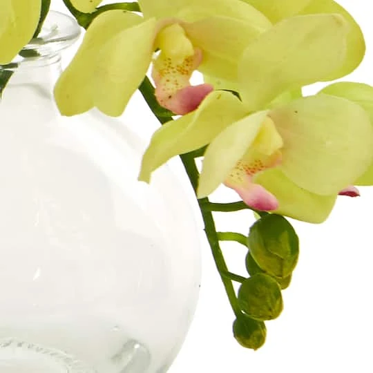 9" Orchid Arrangement In Glass Vase Set 6 9" Orchid Arrangement In Glass Vase Set - Image 4