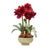 26" Red Amaryllis Arrangement In Ceramic Planter -Michaels D251606S 11
