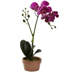 13" Orchid With Clay Vase, 4ct. -Michaels D251610S 14