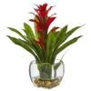 12" Red Bromeliad Arrangement In Glass Vase -Michaels D251615S 11