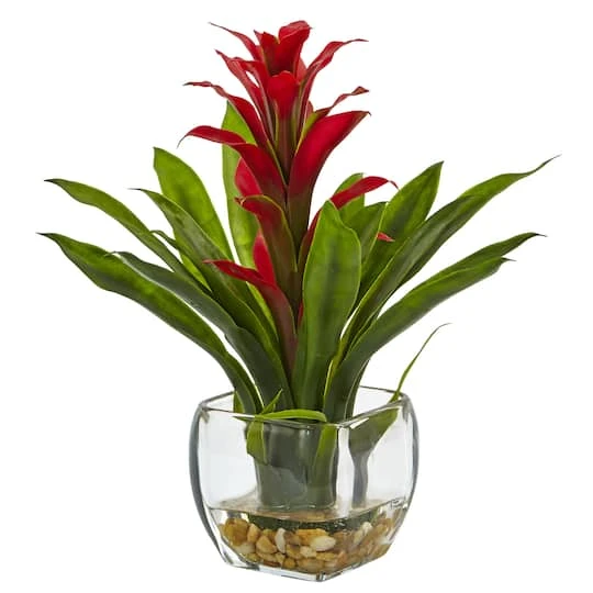 12" Red Bromeliad Arrangement In Glass Vase 3 12" Red Bromeliad Arrangement In Glass Vase