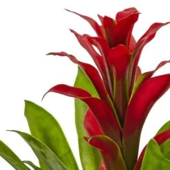 12" Red Bromeliad Arrangement In Glass Vase 11 12" Red Bromeliad Arrangement In Glass Vase -Michaels D251615S 13
