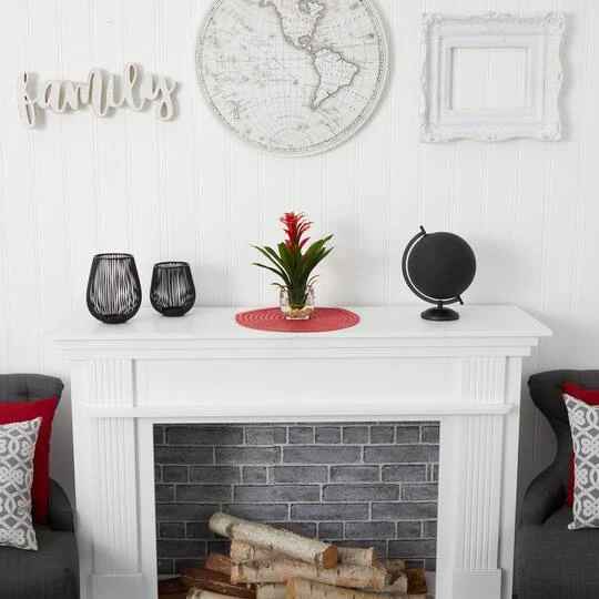 12" Red Bromeliad Arrangement In Glass Vase 8 12" Red Bromeliad Arrangement In Glass Vase - Image 6