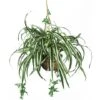 2ft. Spider Hanging Basket -Michaels D251623S 11