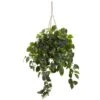 3ft. Pothos Hanging Basket -Michaels D251626S 11