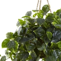 3ft. Pothos Hanging Basket -Michaels D251626S 12