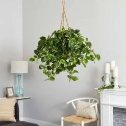 3ft. Pothos Hanging Basket -Michaels D251626S 15