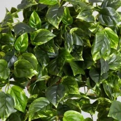 3ft. Pothos Hanging Basket -Michaels D251626S 16
