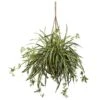20" Spider Plant Hanging Basket 2 20" Spider Plant Hanging Basket -Michaels D251627S 11