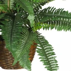 18" Boston Fern Hanging Basket -Michaels D251628S 13