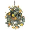 22" Golden Nasturtium Hanging Basket 2 22" Golden Nasturtium Hanging Basket -Michaels D251630S 11