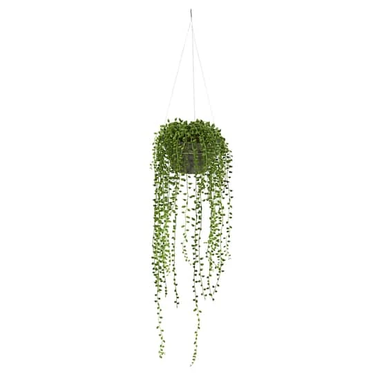 21" String Of Pearl Hanging Basket 4 21" String Of Pearl Hanging Basket - Image 2