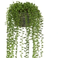 21" String Of Pearl Hanging Basket 8 21" String Of Pearl Hanging Basket -Michaels D251632S 12