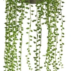 21" String Of Pearl Hanging Basket 9 21" String Of Pearl Hanging Basket -Michaels D251632S 13