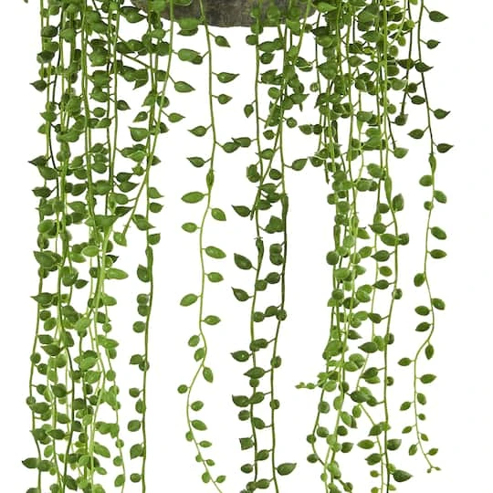 21" String Of Pearl Hanging Basket 6 21" String Of Pearl Hanging Basket - Image 4