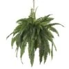 22" Boston Fern Hanging Basket -Michaels D251638S 11